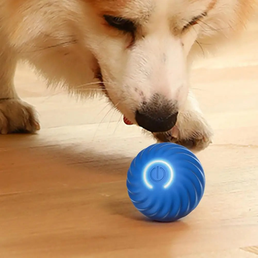 Aktives interaktives Hundespielzeug – SpielSpaß