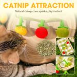 Interaktives Katzenspielzeug mit Katzenminze und Glöckchen
