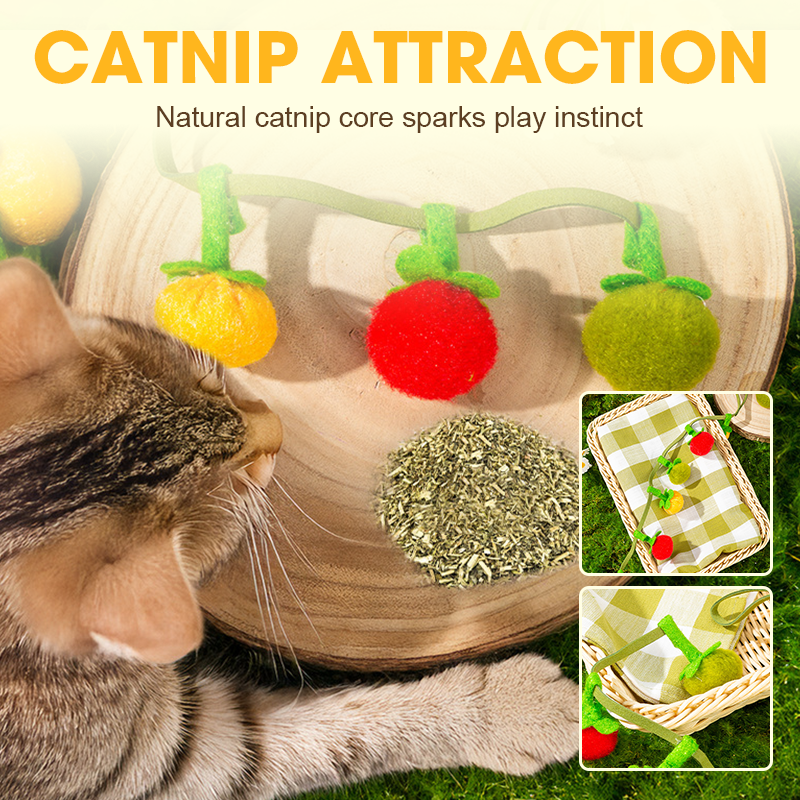 Interaktives Katzenspielzeug mit Katzenminze und Glöckchen