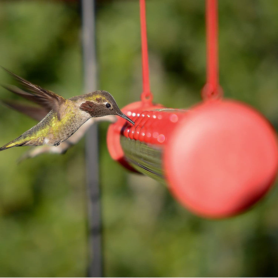 Kolibri-Futterspender für den Garten – HummingNest