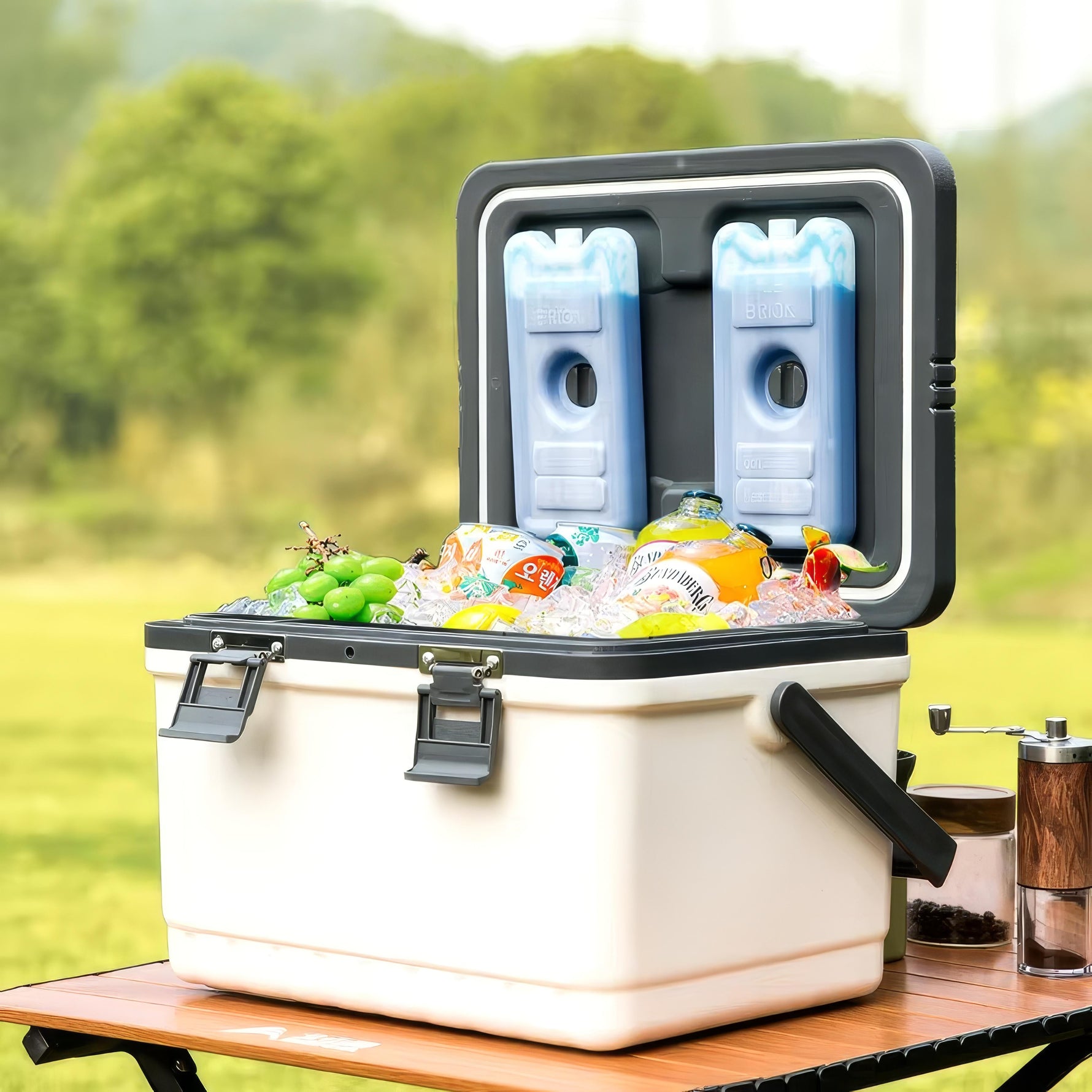 Elegant Portable Cooler for Outdoor Adventures