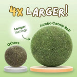 Catnip Balls for Playful Dental Care