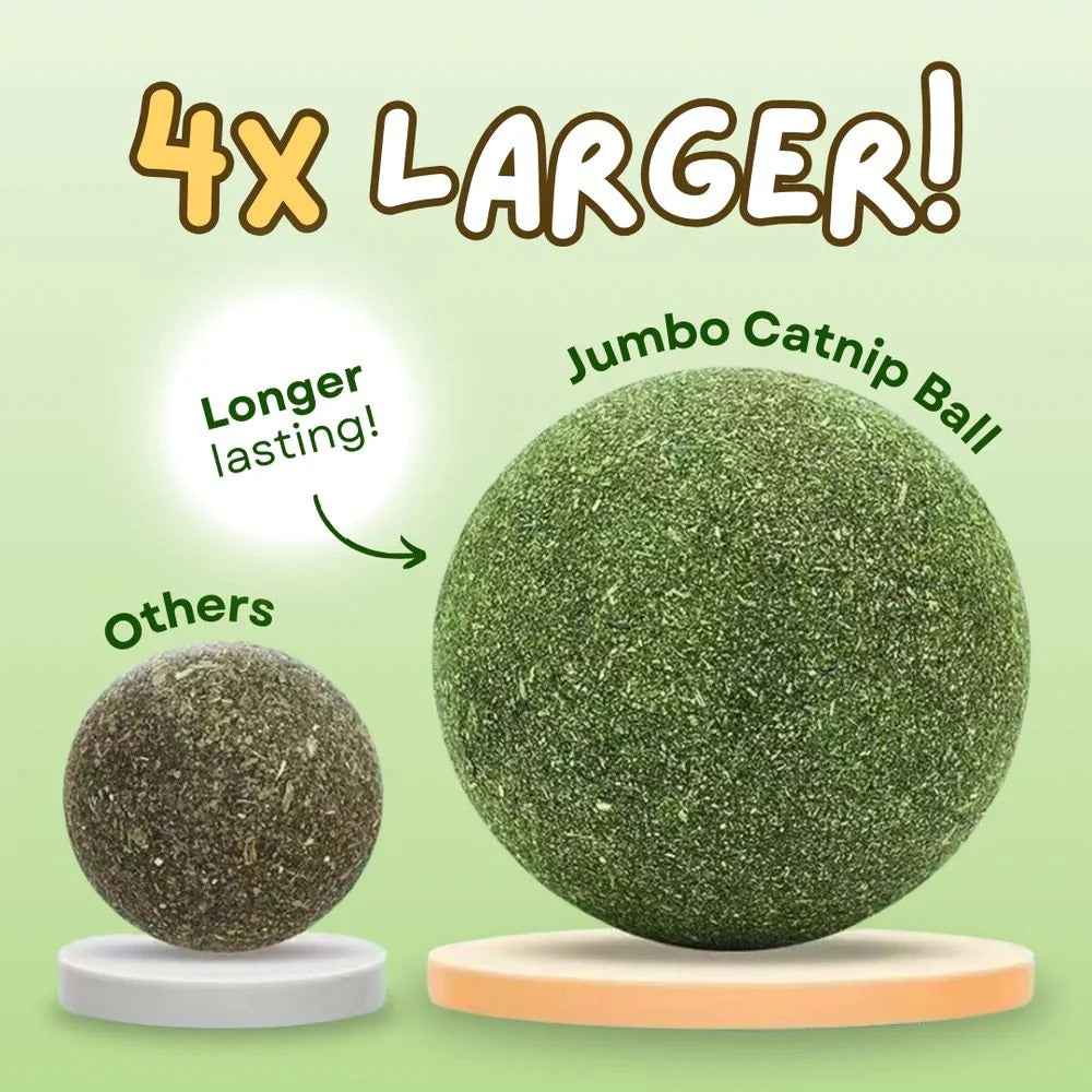 Catnip Balls for Playful Dental Care
