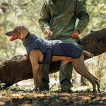 Dog Winter Coat – For warm and safe walks