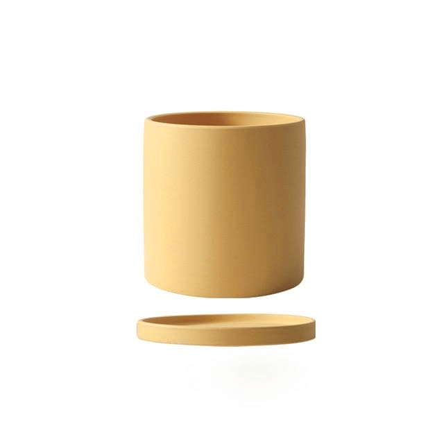 Indoor Plant Flowerpot with Saucer - Stylish Ceramic Design