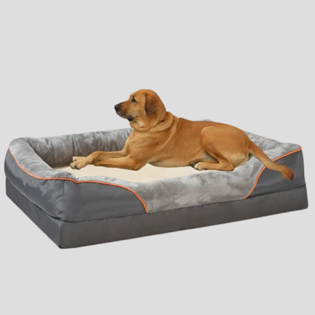 Spacious Dog Bed with Memory Foam for Comfort