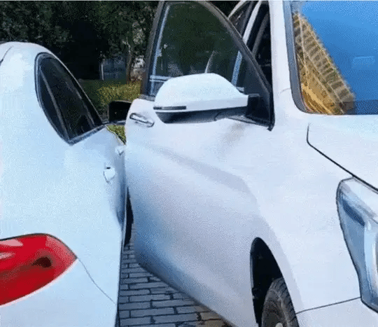CarGuard Deluxe | Protect Your Doors with Style - 4 Pieces