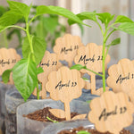 Plant care made easy with flexible wooden markers