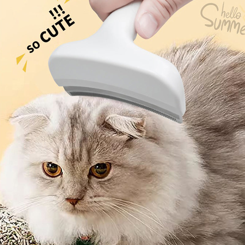 Pet Hair-Free – The perfect comb for a clean home