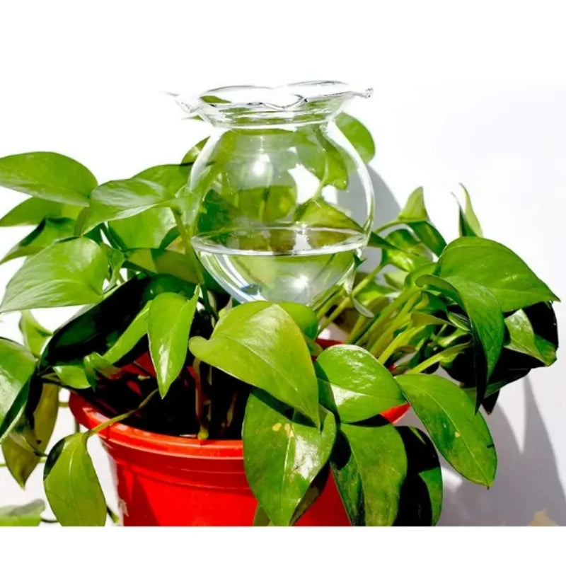 AquaSphere Automatic Plant Watering Globes | Set of 2 Handmade Glass