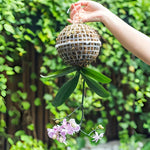 MossHarmony Hanging Planter Ball | Plastic with Drainage Holes | Ideal for Orchids and Ferns | Indoor and Outdoor Use