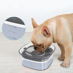 Praktische 2L Hundewasserflasche mit Sichtfenster | AquaPet