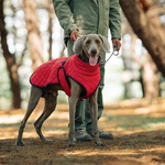 Dog Winter Coat – For warm and safe walks