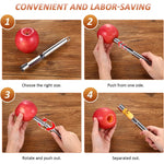 Fruchtfreude – Efficient Pit Removal for Perfect Fruit Preparation