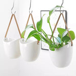 Hanging Blossoms - Give Your Room a New Look