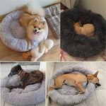 Cozy Retreat - Ideal for a restful sleep for your pet