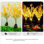 Vibrant Rape Blossom Decoration for Garden and Home