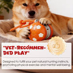 Interaktiver Spielball für Hunde mit USB-Ladung