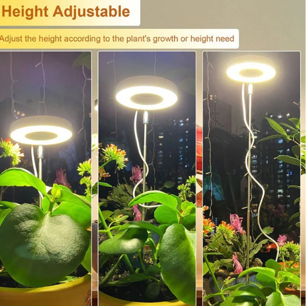 LumosPro – Promote your plants' growth all year round
