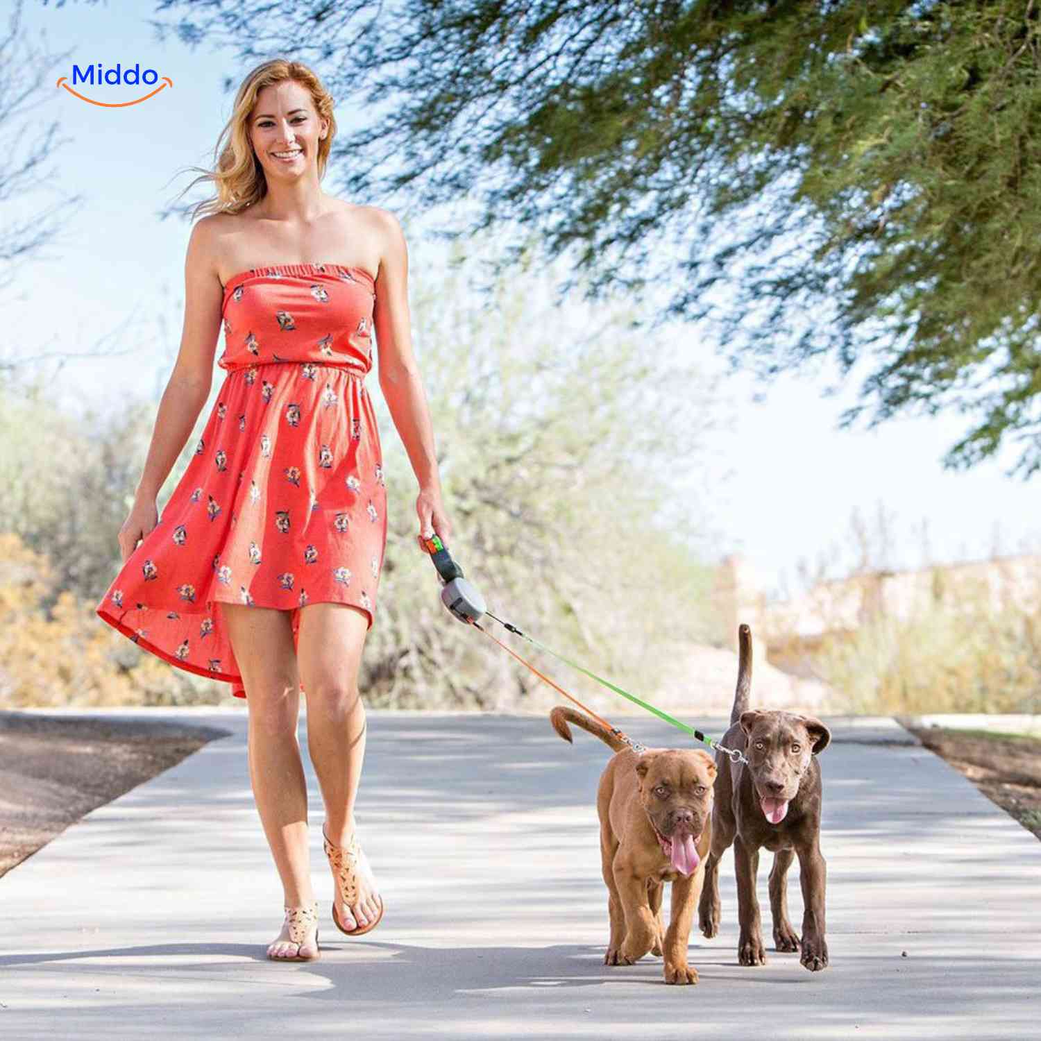 TwoDogsPro - Maximum control and comfort for your walk