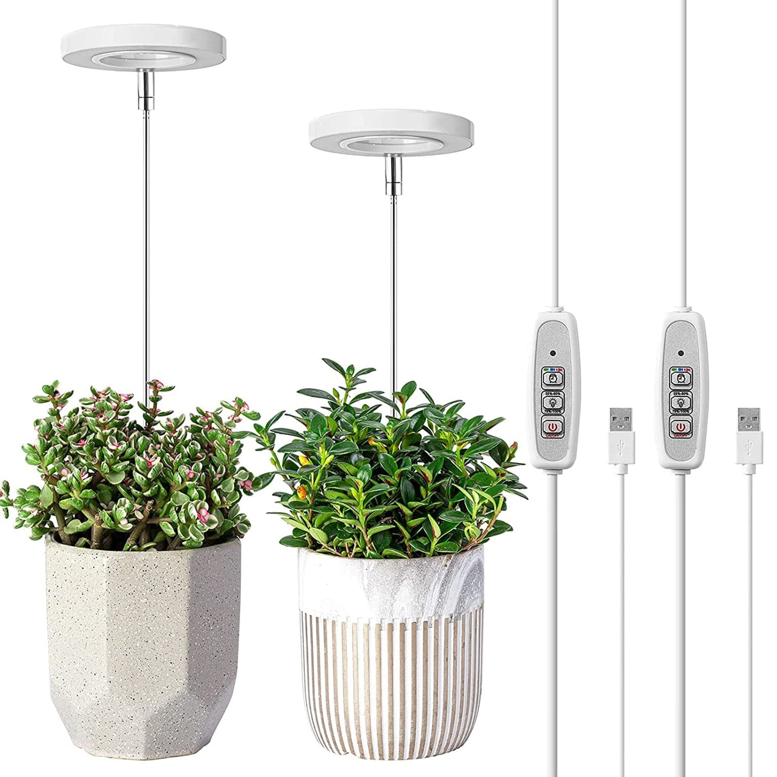 LumaGrow - Perfect Lighting for Magnificent Houseplants