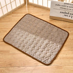 CoolPaws - Keep Your Dog Fresh and Relaxed All Day Long