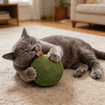 Catnip Balls for Playful Dental Care
