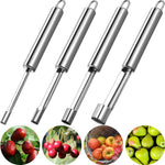Fruchtfreude – Efficient Pit Removal for Perfect Fruit Preparation