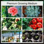 HydroGrow - Optimal Moisture for Healthy Plants