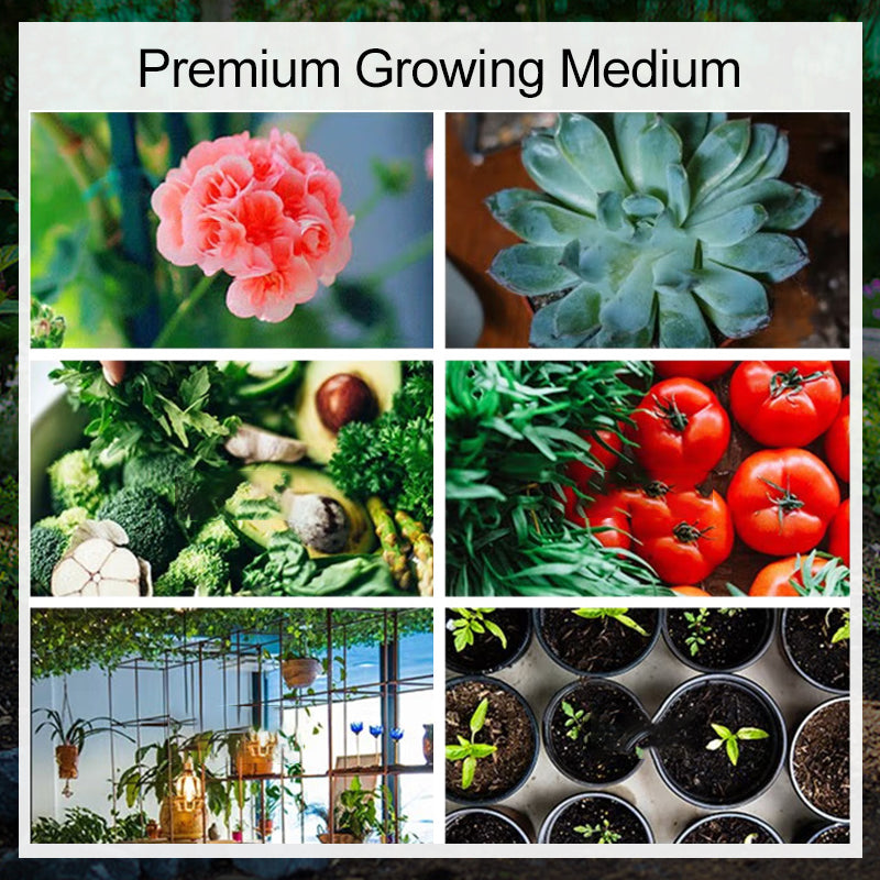 HydroGrow - Optimal Moisture for Healthy Plants