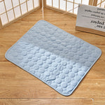 CoolPaws - Keep Your Dog Fresh and Relaxed All Day Long