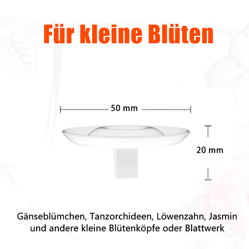 BlütenEleganz – Perfect Presentation for Your Flowers