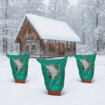 Winter Protection for Plants – Optimal Protection Against Cold