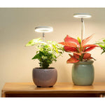 LumaGrow - Perfect Lighting for Magnificent Houseplants