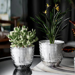 SmartWater Flower Pot with Self-Watering and Transparent Design