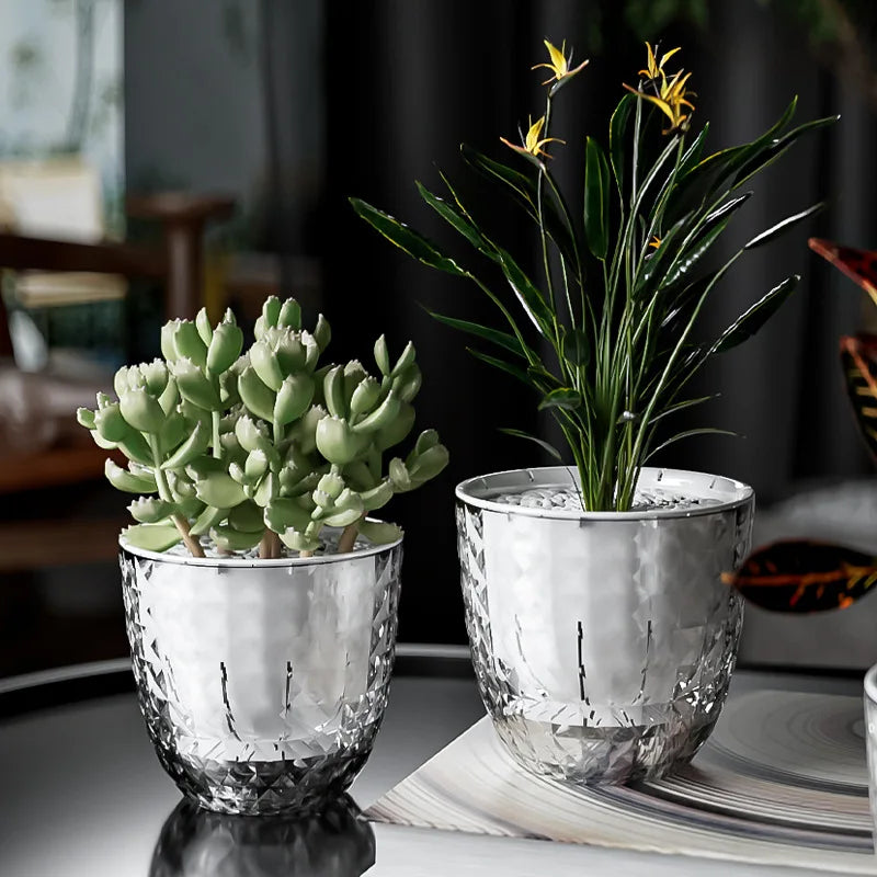 SmartWater Flower Pot with Self-Watering and Transparent Design