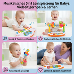 5in1 Lernspielzeug für Babys mit musikalischen Funktionen