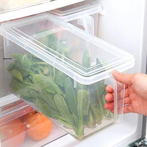 Praktische Gefrierbox mit Griff für die Lebensmittelaufbewahrung