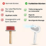 FurMeister: Innovative Haustierbürste mit Dampffunktion