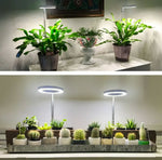 Natural Light Pro - Full-Spectrum Plant Lamp with Flexible Stand