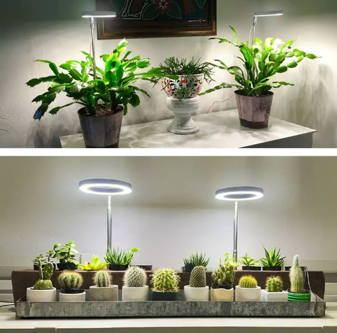 Natural Light Pro - Full-Spectrum Plant Lamp with Flexible Stand