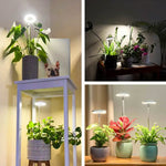 Natural Light Pro - Full-Spectrum Plant Lamp with Flexible Stand
