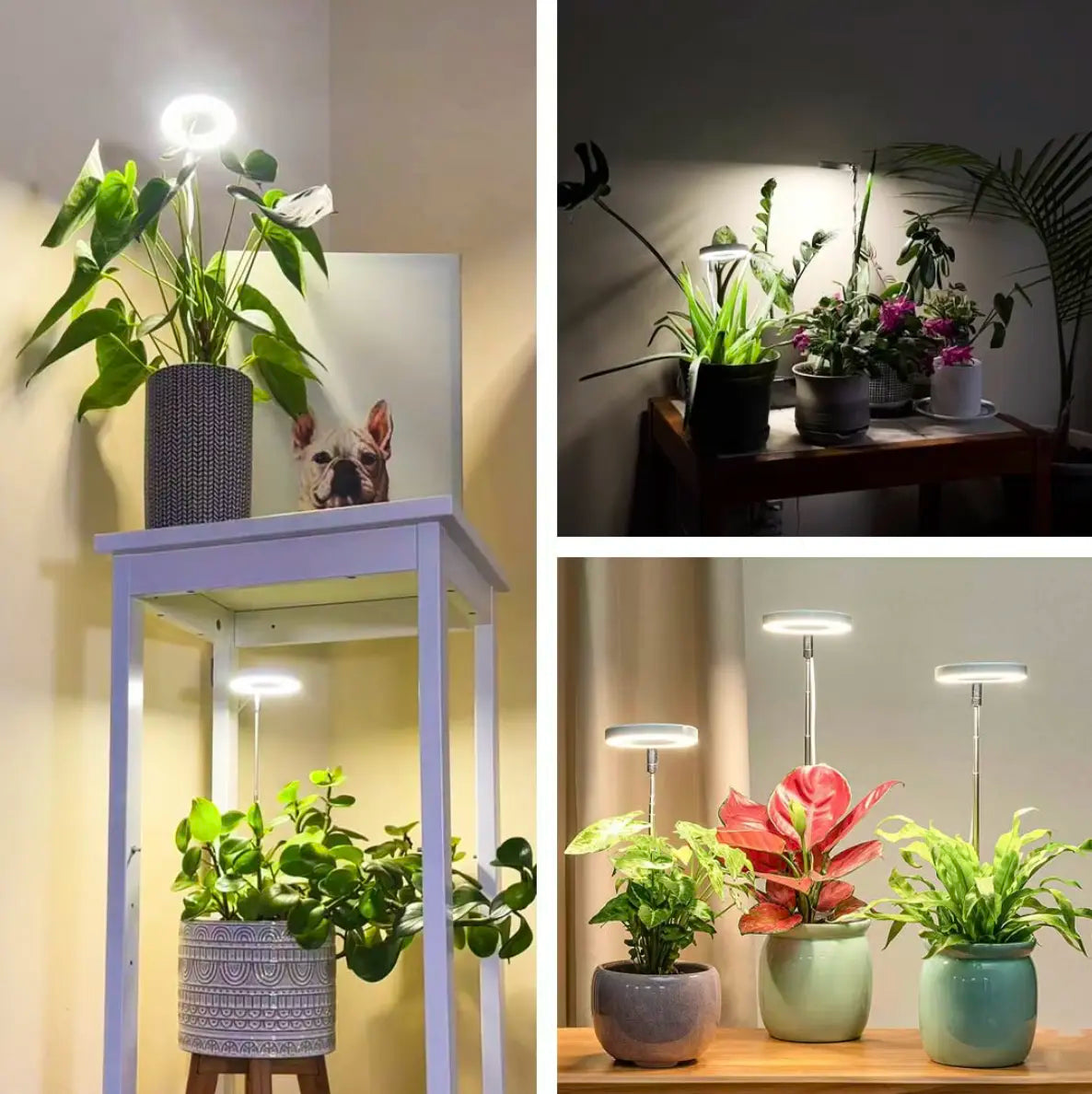 Natural Light Pro - Full-Spectrum Plant Lamp with Flexible Stand