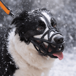 Soft Dog Muzzle for Safe Use in Daily Activities