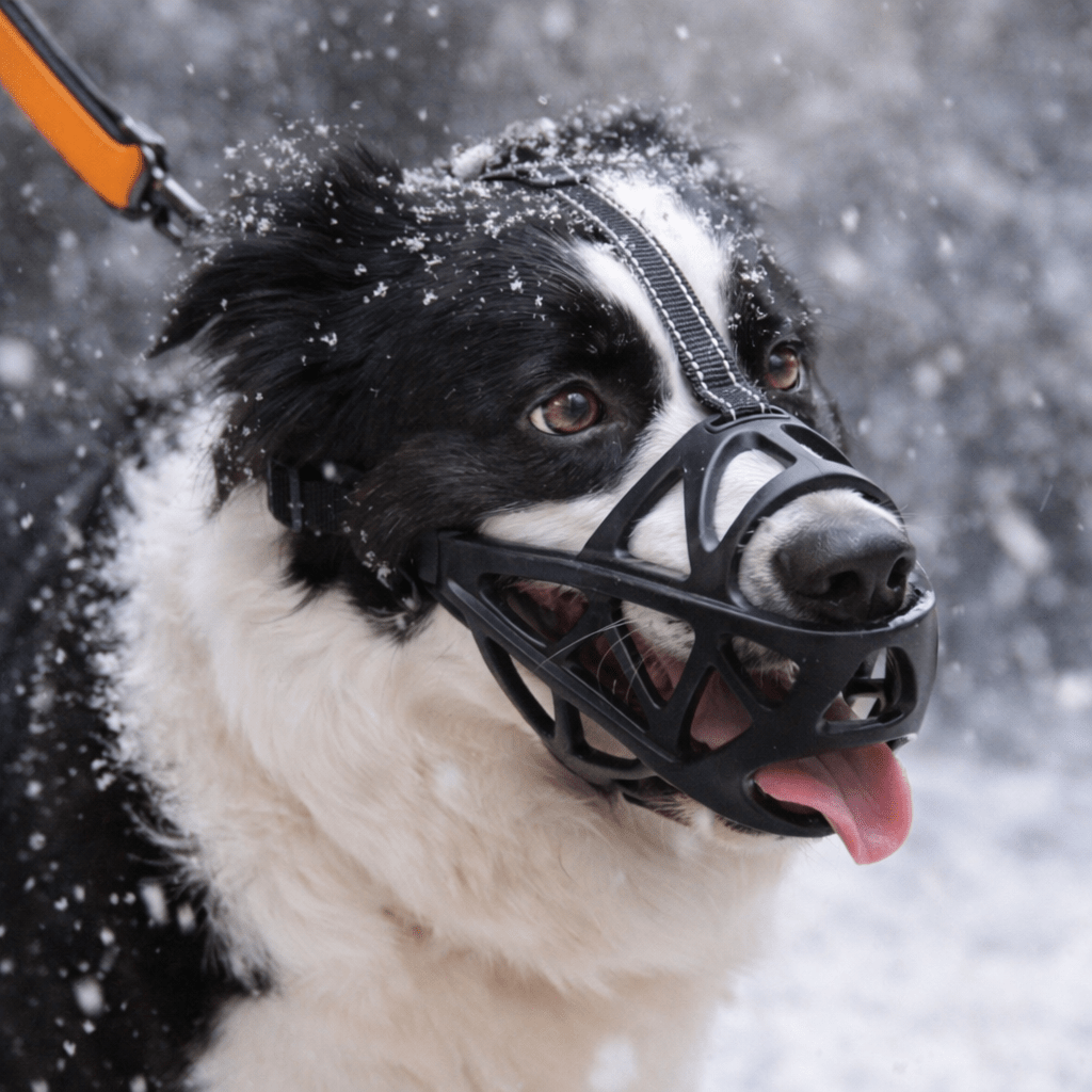 Soft Dog Muzzle for Safe Use in Daily Activities