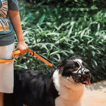 Soft Dog Muzzle for Safe Use in Daily Activities