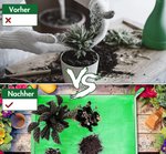 Rostfreier Gartenlösungsschale von Voltyx