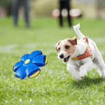 FlitzDisc: Das vielseitige 2-in-1 Hundespielzeug für jeden Spaß