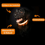 GlowHund LED-Leuchthalsband für Hunde – Sichtbarkeit garantiert!