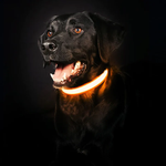 GlowHund LED-Leuchthalsband für Hunde – Sichtbarkeit garantiert!